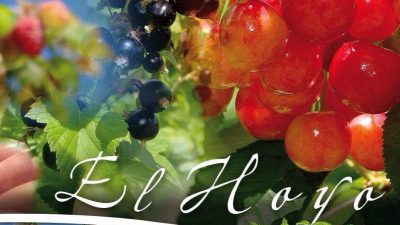 Fiesta Nacional de la Fruta Fina,12, 13 y 14 de Enero, El Hoyo