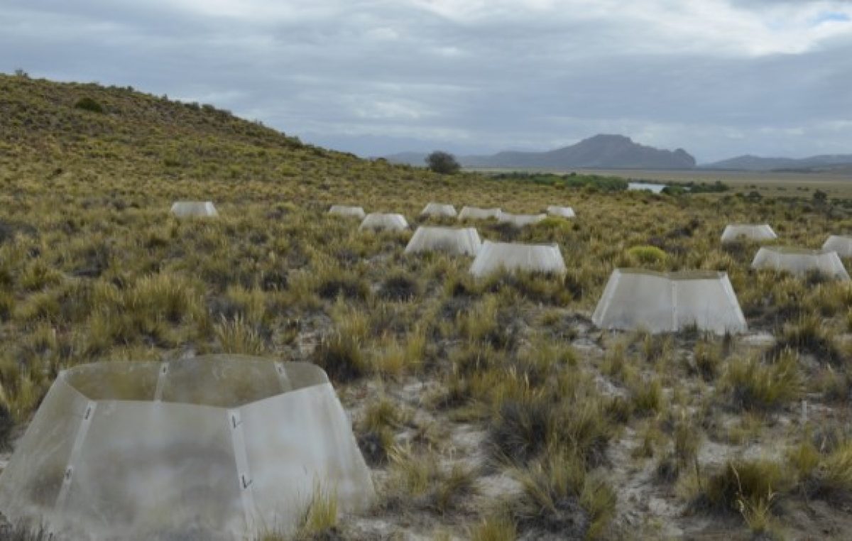 Bariloche, uno de los diez elegidos para estudiar el cambio climático