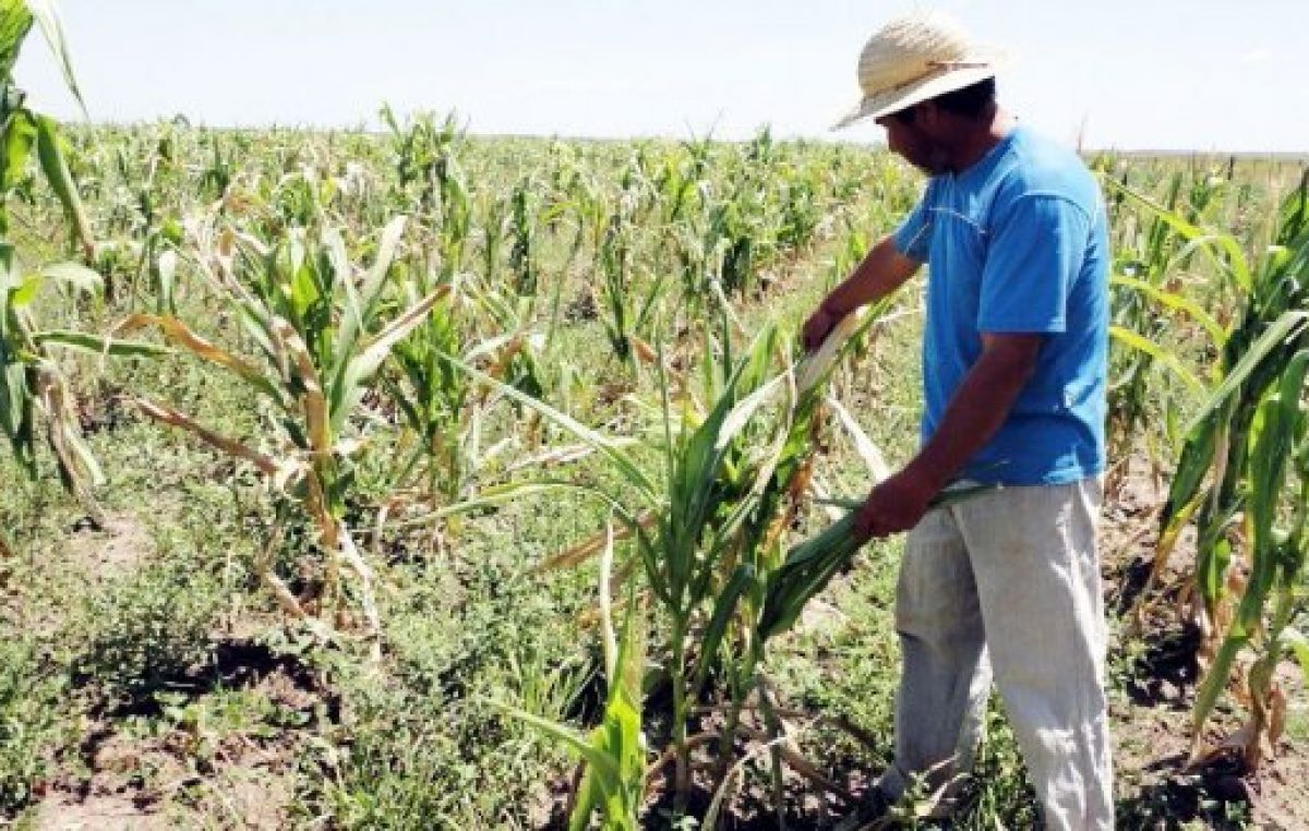 Peones rurales cada vez más indefensos