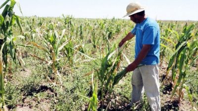 Peones rurales cada vez más indefensos