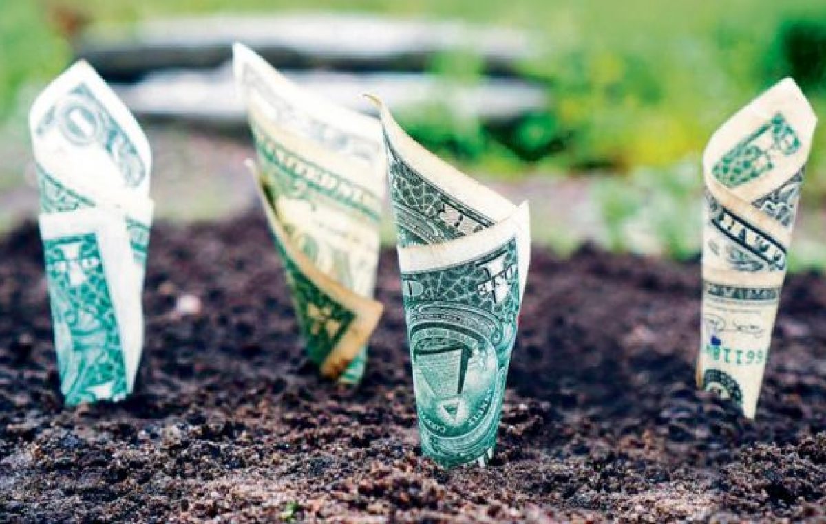 Baja la tasa, con más inflación y divisa más cara
