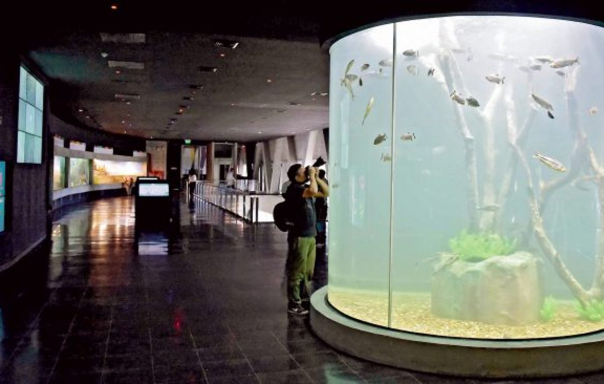 Rosario: El Acuario del Río Paraná se inaugura el viernes y será «único en el país»