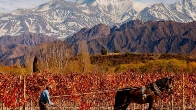 Mendoza entre los destinos «más amigables» y simples para hacer enoturismo