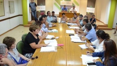 Concejales neuquinos intentan frenar la suba de aportes para municipales