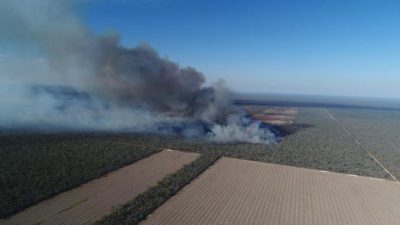 La desforestación sudamericana en las mesas europeas