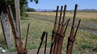 El final de Ferrobaires y un duro impacto en Bahía Blanca y la región