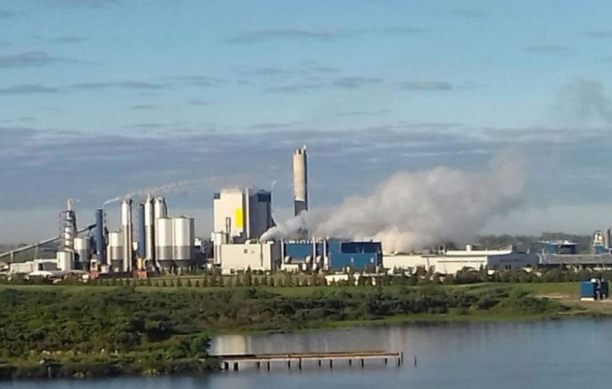 UPM-Botnia: el Municipio de Gualeguaychú exige que Nación vaya de nuevo a La Haya