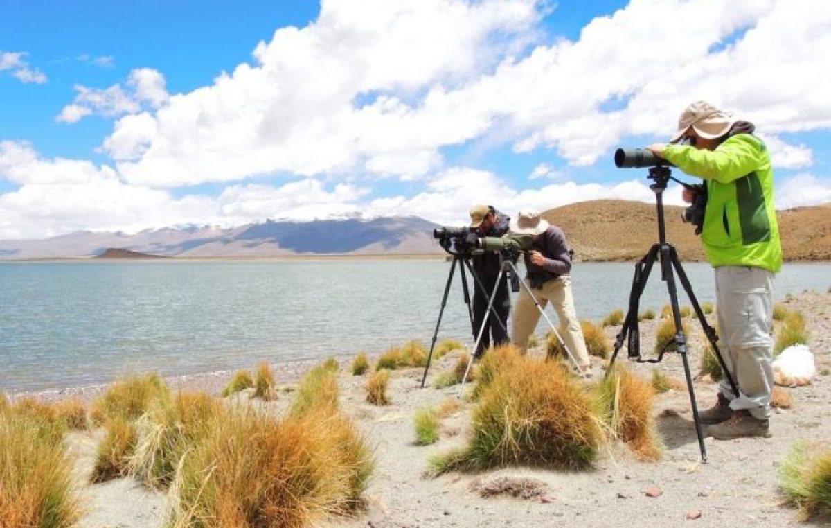 Expedición a las lagunas altoandinas