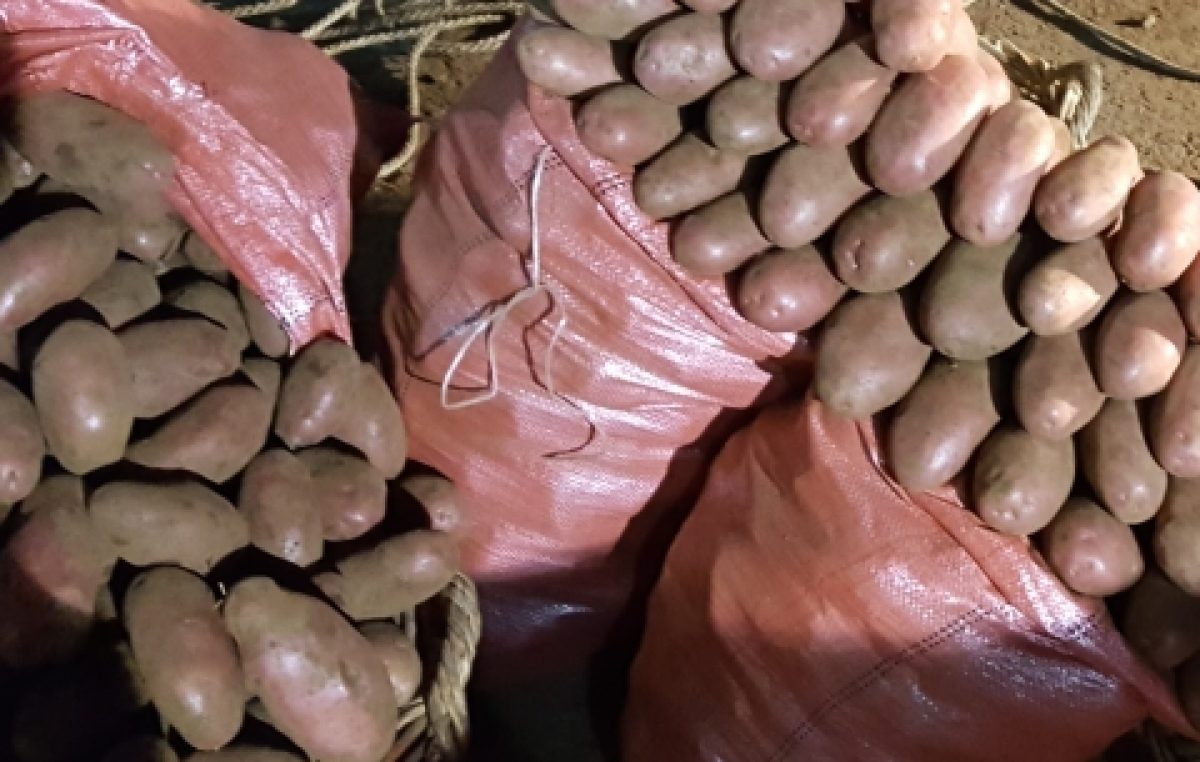 No se salvan ni los productores de papas