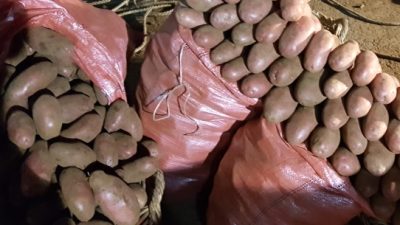 No se salvan ni los productores de papas