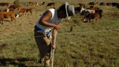 Según un informe, en el sector agropecuario la mayoría de los trabajadores son “tercerizados”