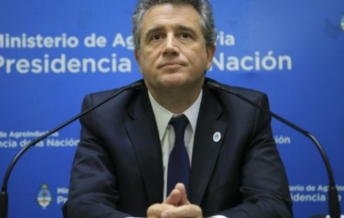 Recorte en el Estado: el Ministerio de Agroindustria despedirá a más de 300 empleados