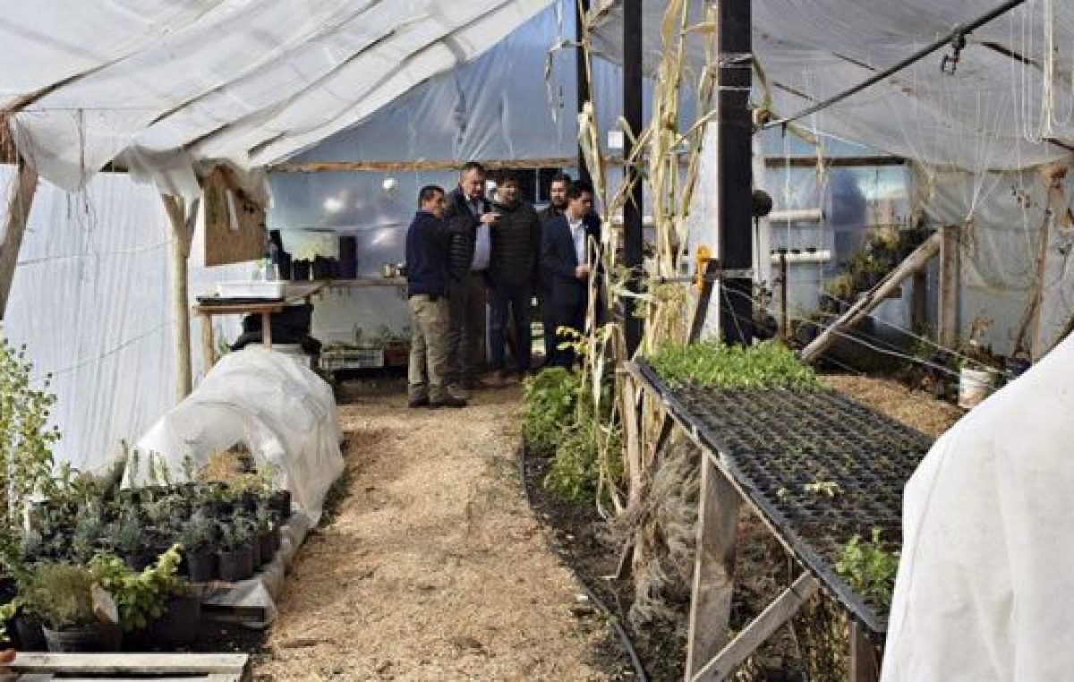 Cada vez más barilochenses acuden a la agricultura familiar