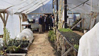 Cada vez más barilochenses acuden a la agricultura familiar