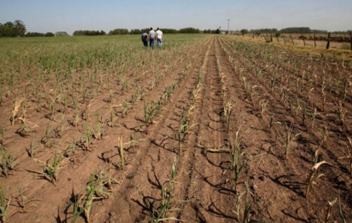 Declaran la Emergencia Agropecuaria en otros 24 municipios bonaerenses: suman 51 distritos