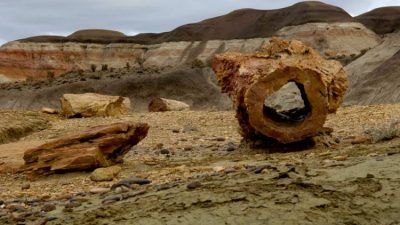 Naturaleza de impacto: conocé el bosque petrificado de Chubut