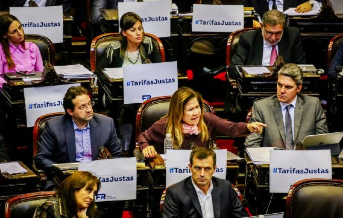 En la oposición consideran un «hito» la media sanción a la emergencia tarifaria