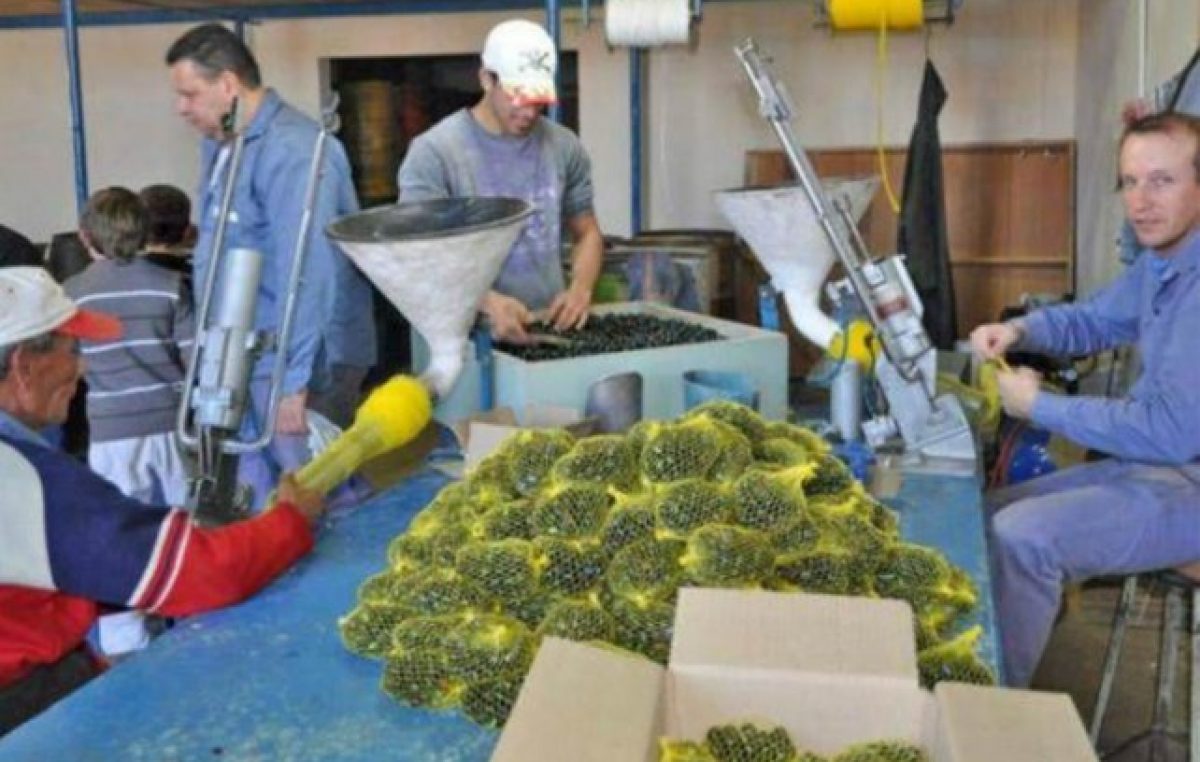 Peligra el futuro de Tinka, la fábrica santafesina de bolitas, la única de Sudamérica