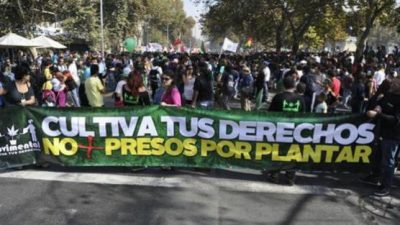 Miles de chilenos marcharon por la regulación del cultivo y uso de cannabis