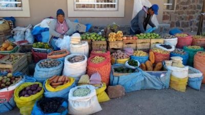 Comunidades de la Puna jujeña participaron de la Feria del Trueque