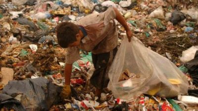 Un video desnudó la crisis social en Mar del Plata: buscan comida y cartón entre la basura