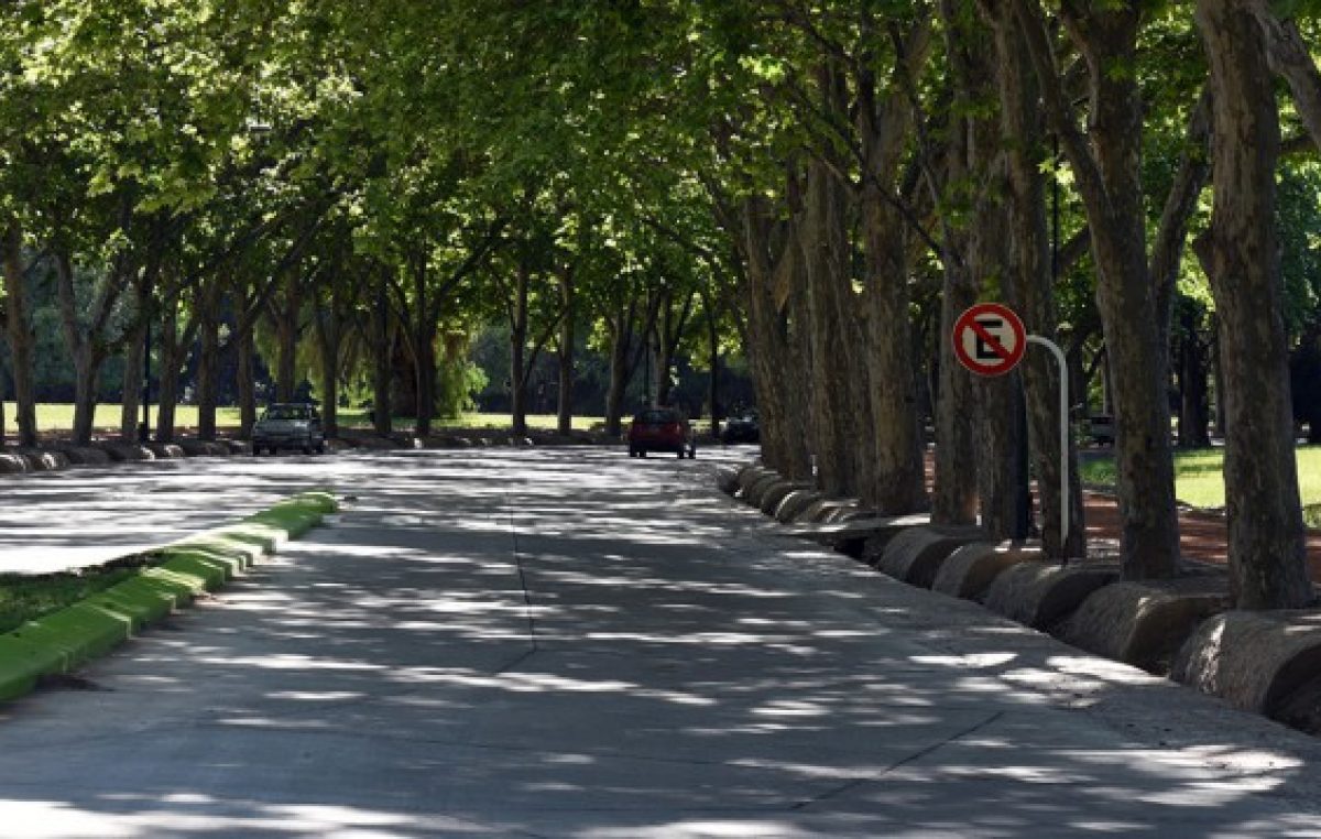 Mendoza: El Unicipio se pone verde, plantarán 25.000 árboles por año