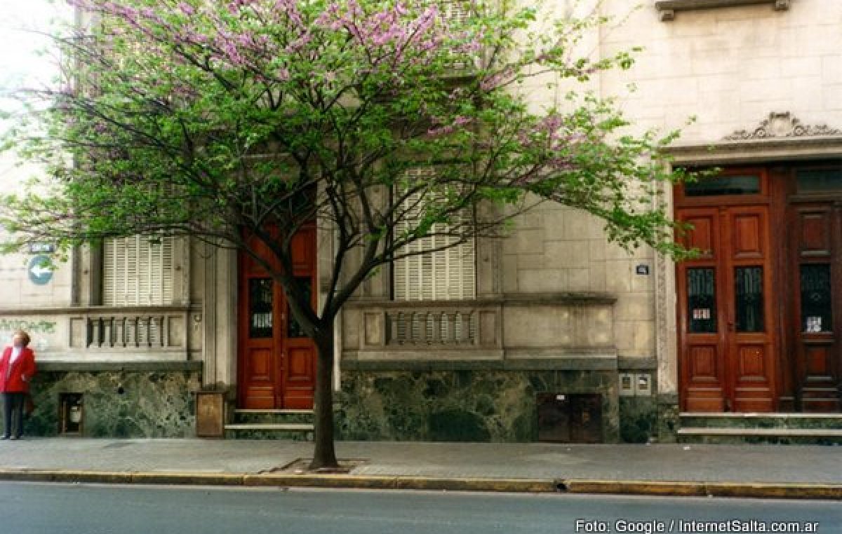 Multas de hasta en $30.000 a vecinos salteños que no tengan árboles en la vereda