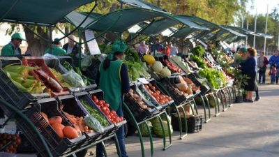 Cómo se explica el boom de las ferias de agricultura familiar en Valle Medio y Río Colorado