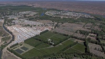 La urbanización desterró a las chacras de la ciudad de Neuquén