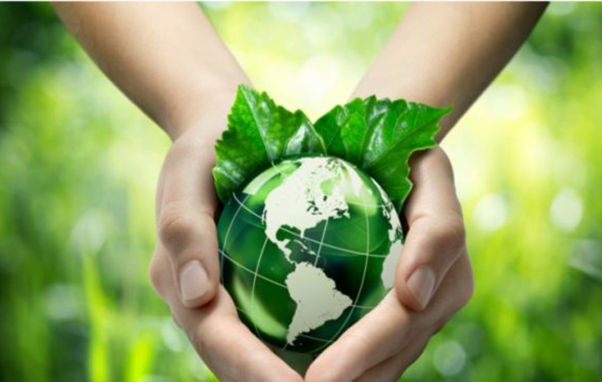 Se celebra el Día Mundial del Medio Ambiente