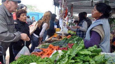 Neuquén: La crisis también llegó a la Feria del Parque Central