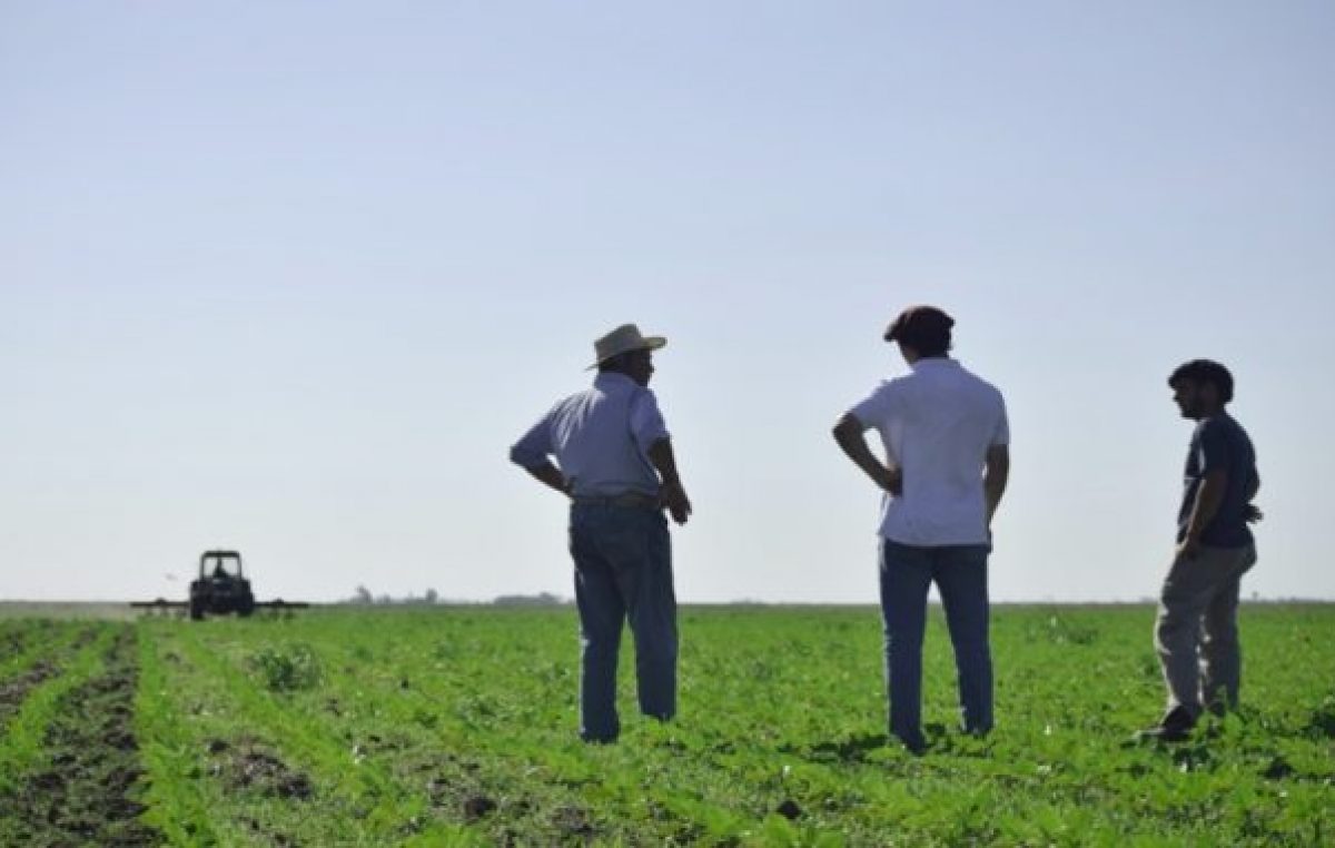 Arias: desde hace 35 años producen sin agroquímicos y son 100% orgánicos