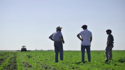 Arias: desde hace 35 años producen sin agroquímicos y son 100% orgánicos