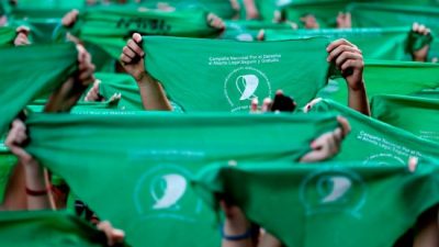 Polémica por la posible declaración “Pro-Vida” de Viedma