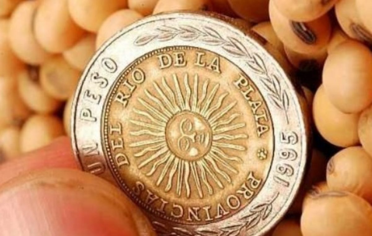 Chubut dejaría de recibir más de $ 400 millones por el Fondo Sojero en 2019