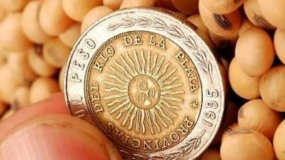Chubut dejaría de recibir más de $ 400 millones por el Fondo Sojero en 2019