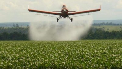 Secretario Agricultura de Nación: «Municipios no pueden prohibir el glifosato»