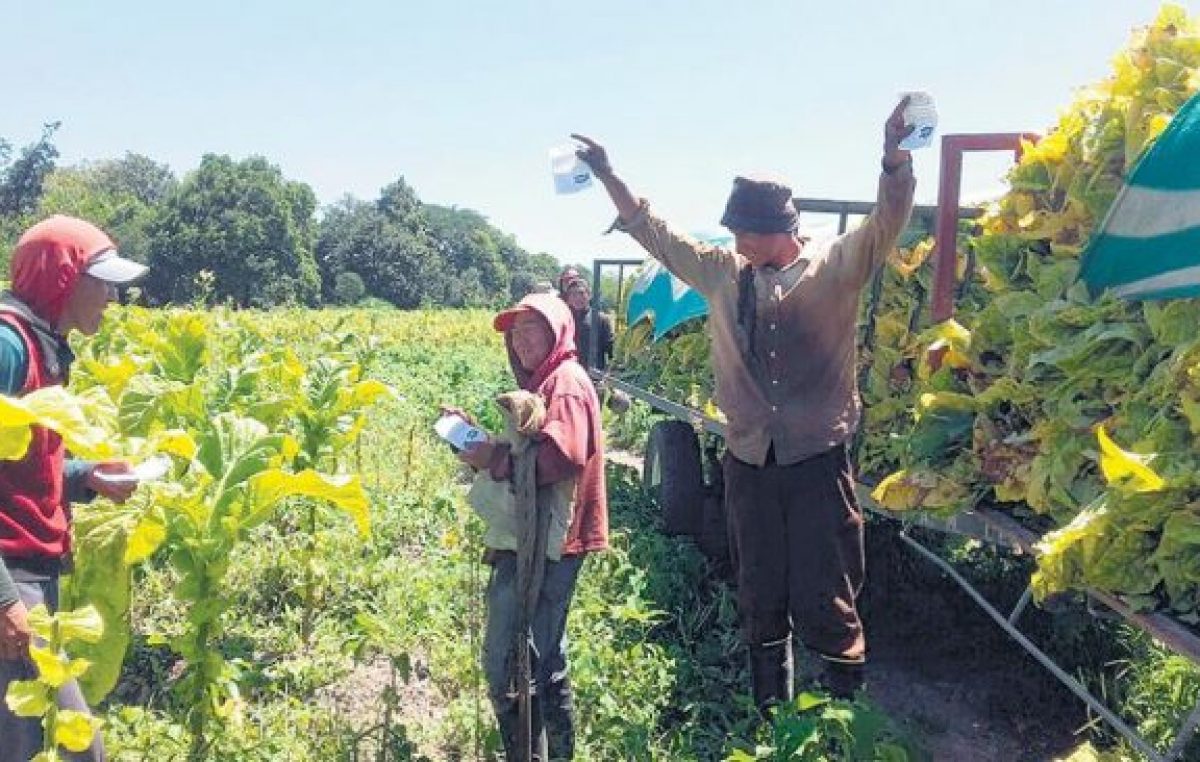 La doble vara del ajuste en el campo