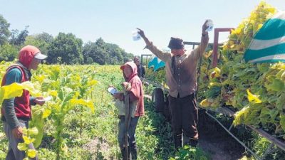 La doble vara del ajuste en el campo