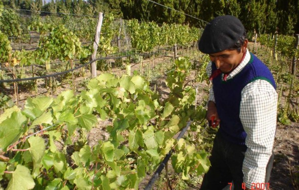 Desamparo a los pequeños productores