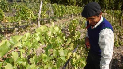 Desamparo a los pequeños productores