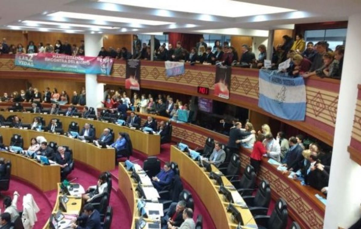 Tucumán se declaró «provincia provida”