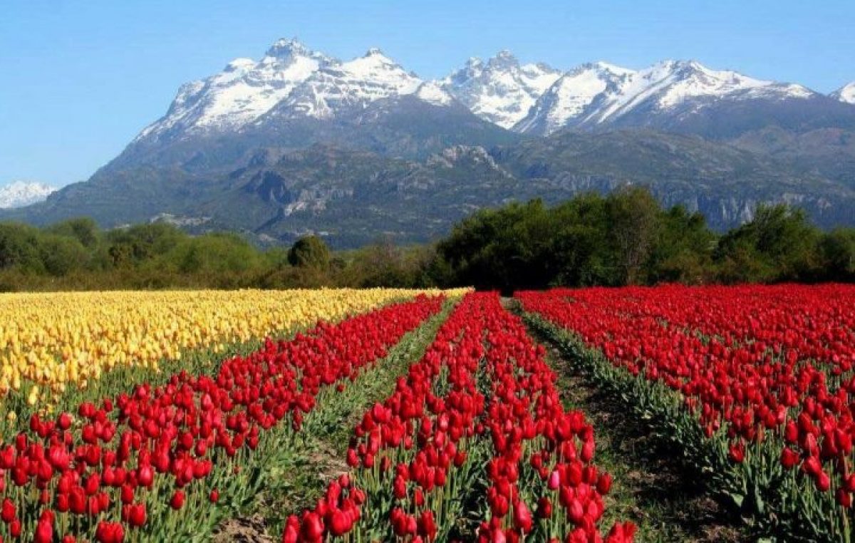 Trevelin nominado a ser una de las “7 Maravillas Naturales Argentinas”