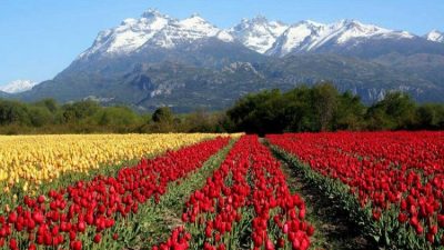 Trevelin nominado a ser una de las “7 Maravillas Naturales Argentinas”