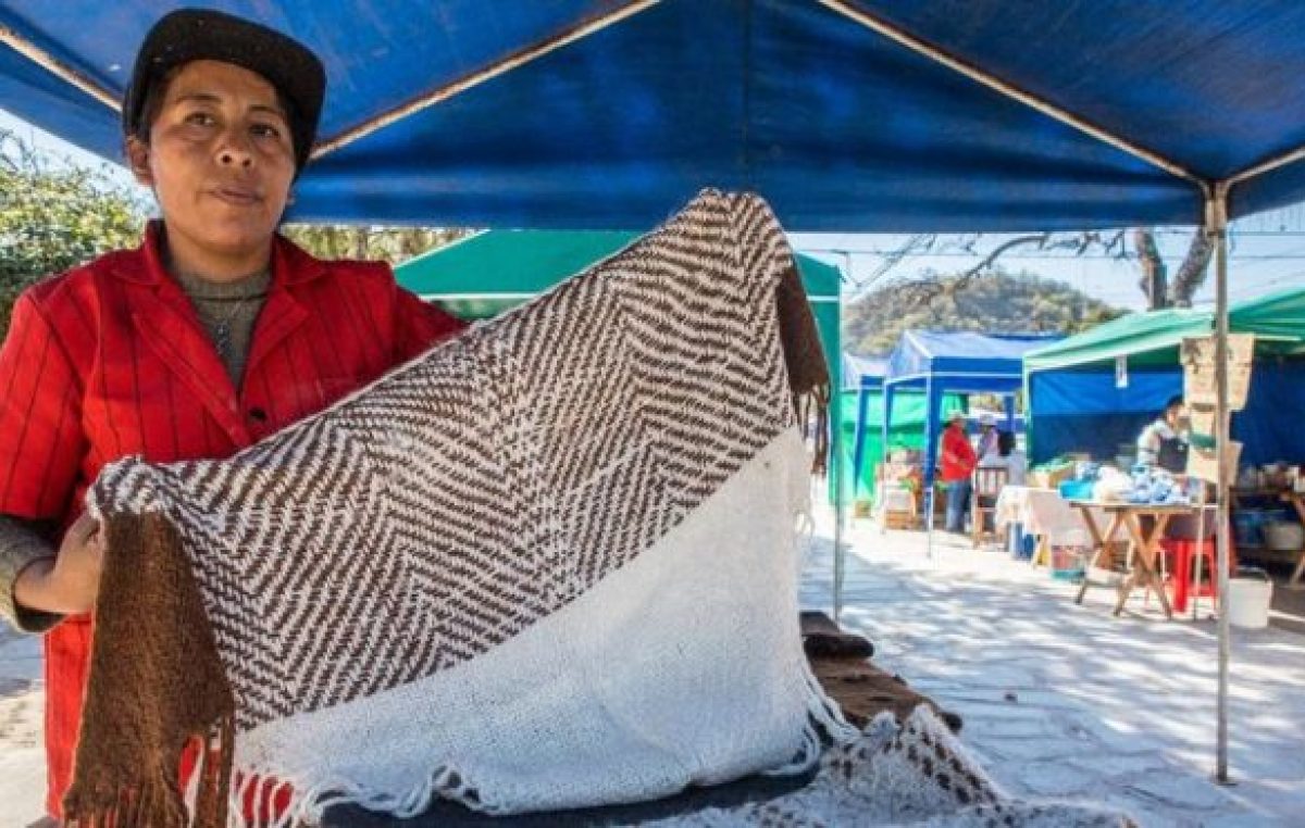 Pequeños productores salteños que se afianzan y piensan en grande