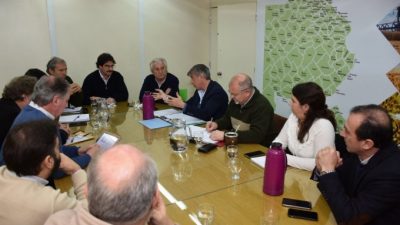 Municipios peronistas bonaerenses buscan poner freno a la importación de carne porcina