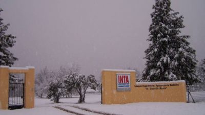 Trabajadores del Inta Bariloche denuncian grave situación presupuestaria