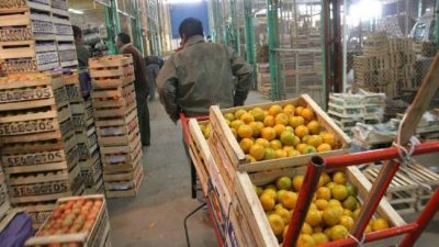 Sigue trabajando en negro casi la mitad de los mendocinos