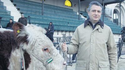 Ajuste en Agroindustria