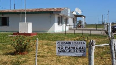 Fumigaron a veinte metros de una escuela rural en Ayacucho: “nunca pensé que iban a ser capaces”